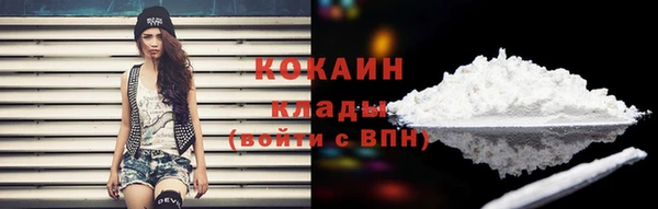 мет Арсеньев