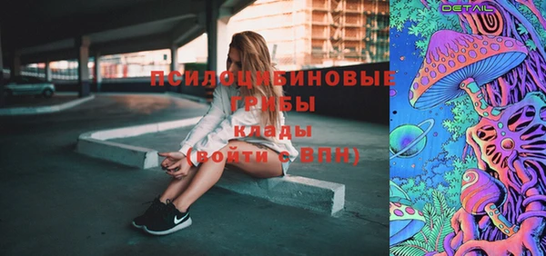 мет Арсеньев